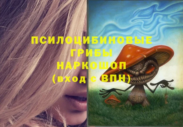 шишки Абаза