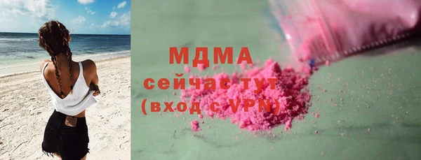 шишки Абаза