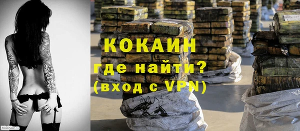 шишки Абаза