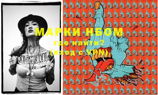 шишки Абаза
