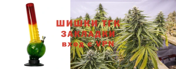 шишки Абаза