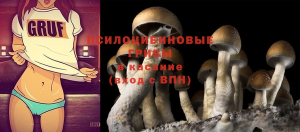 spice Абинск