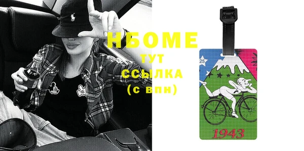шишки Абаза