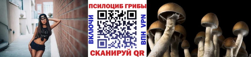 купить   Туринск  Галлюциногенные грибы мицелий 